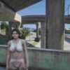 Discover the Lisa Ped for FiveM, a custom character mod that introduces a unique character into GTA V. Learn about its features, impact, and expert insights