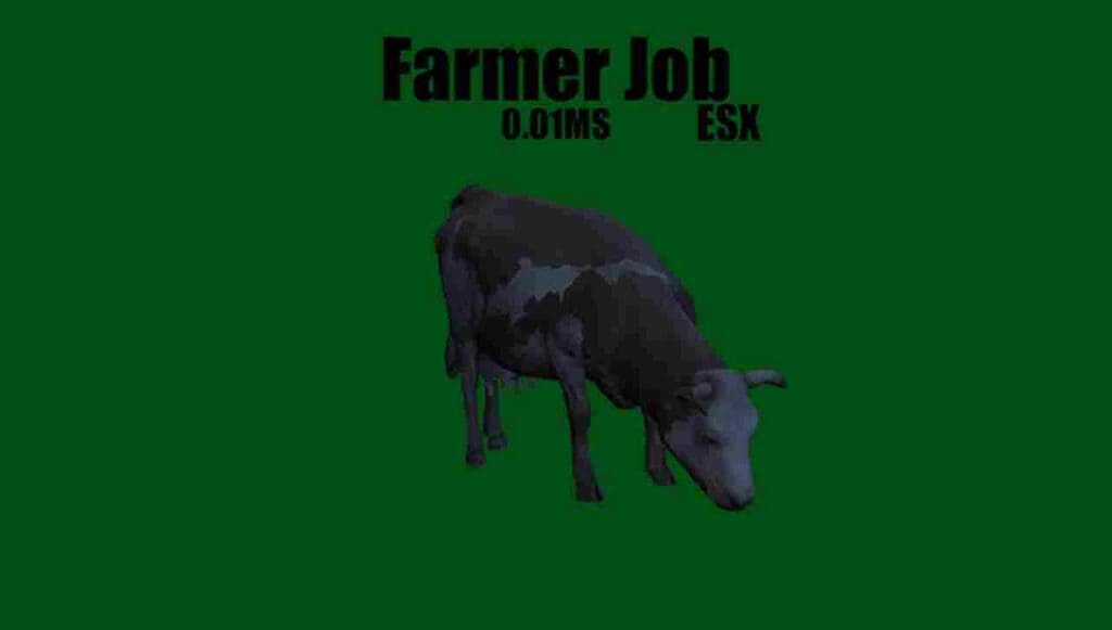 ESX Scripts : Free & Paid Choices for Your FiveM Server - FiveM Store